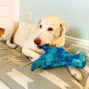 Meet your Posher, Nina